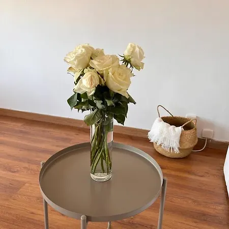 Enok Apartamento Vilassar De Mar